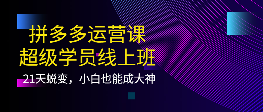 拼多多运营课：超级学员线上班，21天蜕变，小白也能成大神-巴叔叔资源网