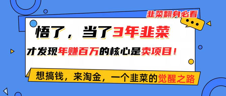 悟了，当了3年韭菜，才发现网赚圈年赚100万的核心是卖项目，含泪分享！-巴叔叔资源网