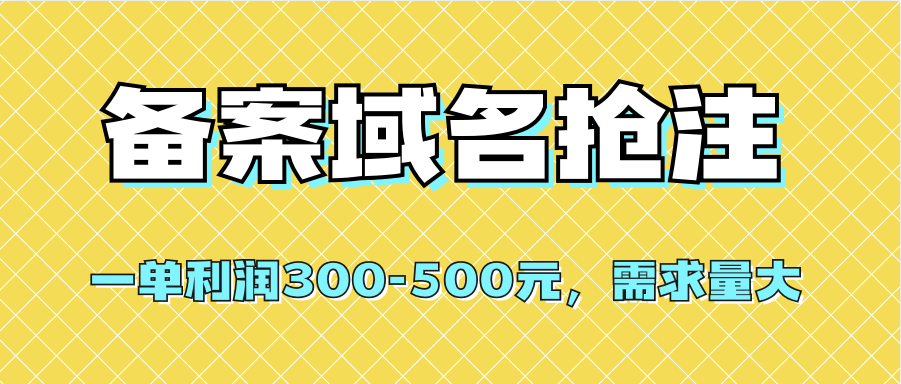 【全网首发】备案域名抢注，一单利润300-500元，需求量大-巴叔叔资源网