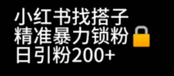 小红书找搭子暴力精准锁粉+引流日引200+精准粉-巴叔叔资源网