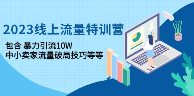 2023线上流量特训营：中小卖家流量破局技巧等等-巴叔叔资源网
