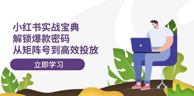 小红书实战宝典：解锁爆款密码，从矩阵号到高效投放-巴叔叔资源网