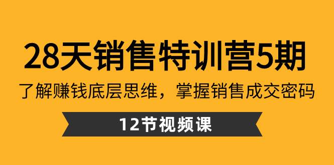 28天·销售特训营5期：了解赚钱底层思维，掌握销售成交密码（12节课）-巴叔叔资源网