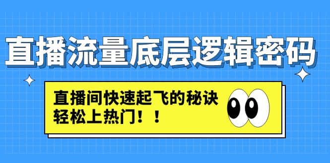 直播流量底层逻辑密码：直播间快速起飞的秘诀，轻松上热门-巴叔叔资源网