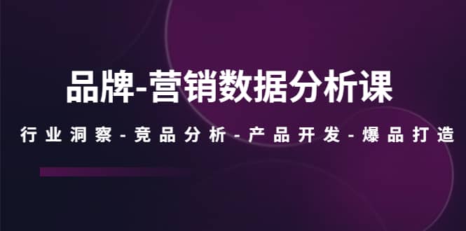 品牌-营销数据分析课，行业洞察-竞品分析-产品开发-爆品打造-巴叔叔资源网