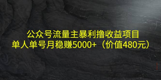 公众号流量主暴利撸收益项目，单人单号月稳赚5000+（价值480元）-巴叔叔资源网