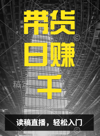 视频号技术直播带货， 会读稿就行，小白日入1000+-巴叔叔资源网