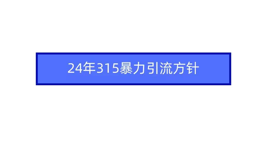 2024年315暴力引流方针-巴叔叔资源网