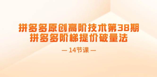 拼多多原创高阶技术第38期，拼多多阶梯提价破量法（14节课）-巴叔叔资源网