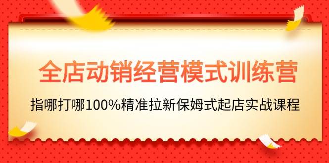 全店动销-经营模式训练营，指哪打哪100%精准拉新保姆式起店实战课程-巴叔叔资源网