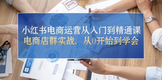 小红书电商运营从入门到精通课，电商店群实战，从0开始到学会-巴叔叔资源网