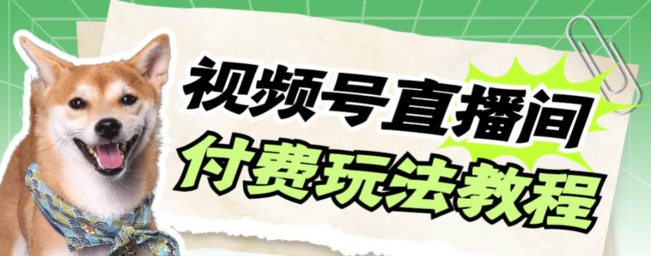 视频号美女付费无人直播，轻松日入500+【详细玩-巴叔叔资源网