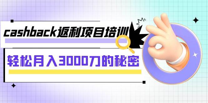 cashback返利项目培训：轻松月入3000刀的秘密（8节课）-巴叔叔资源网