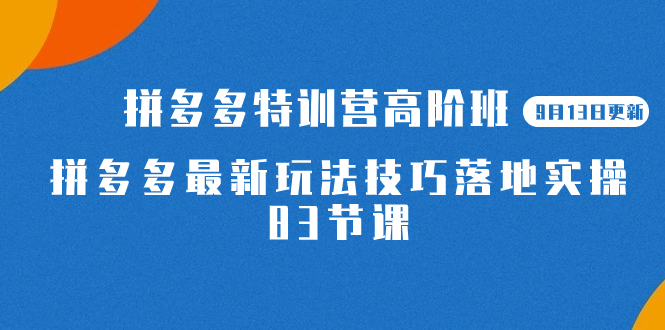 2023拼多多·特训营高阶班【9月13日更新】拼多多最新玩法技巧落地实操-83节-巴叔叔资源网