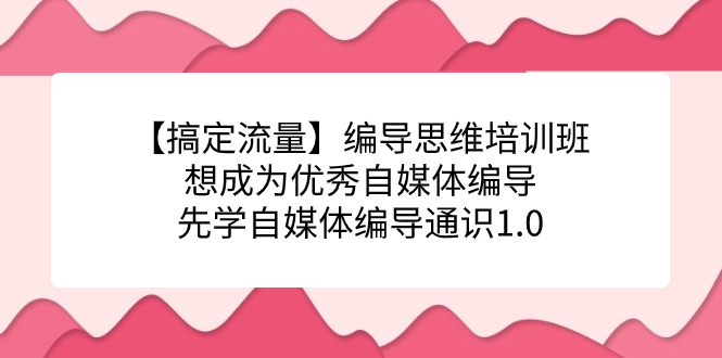 【搞定流量】编导思维培训班，想成为优秀自媒体编导先学自媒体编导通识1.0-巴叔叔资源网