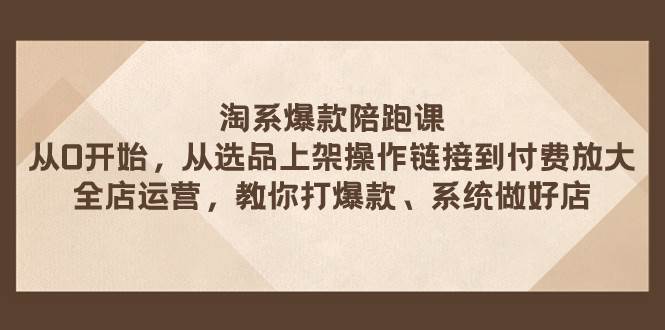 淘系爆款陪跑课 从选品上架操作链接到付费放大 全店运营 打爆款 系统做好店-巴叔叔资源网
