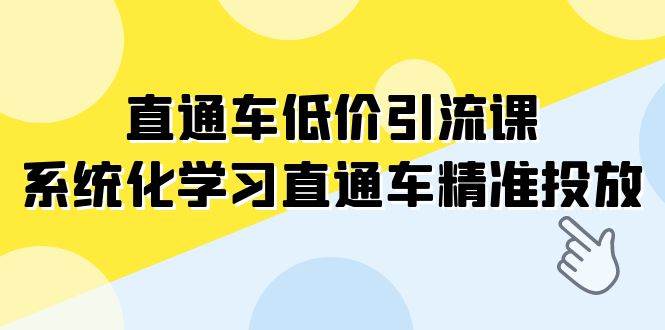 直通车-低价引流课，系统化学习直通车精准投放（14节课）-巴叔叔资源网