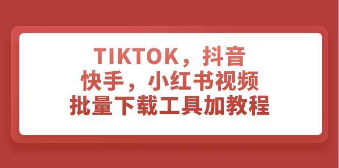 TIKTOK，抖音，快手，小红书视频批量下载工具加教程-巴叔叔资源网