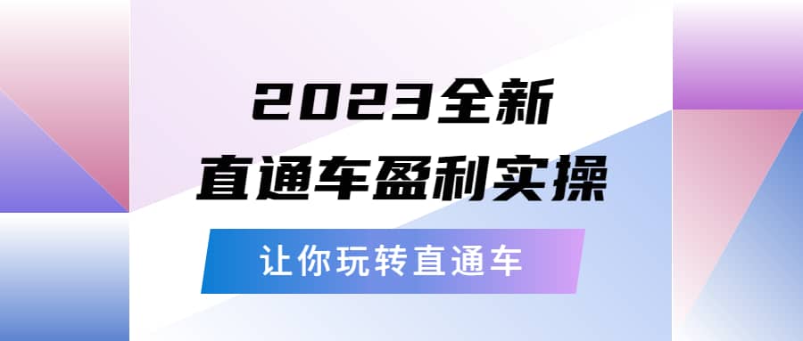 2023全新直通车·盈利实操：从底层，策略到搭建，让你玩转直通车-巴叔叔资源网