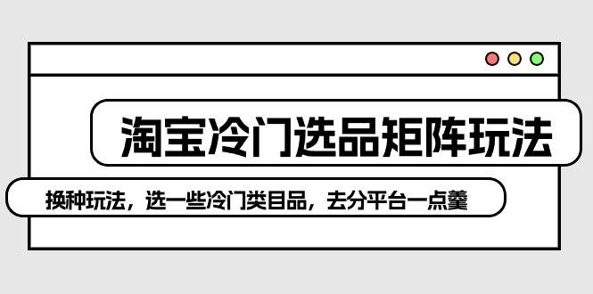淘宝冷门选品矩阵玩法：换种玩法，选一些冷门类目品，去分平台一点羹-巴叔叔资源网