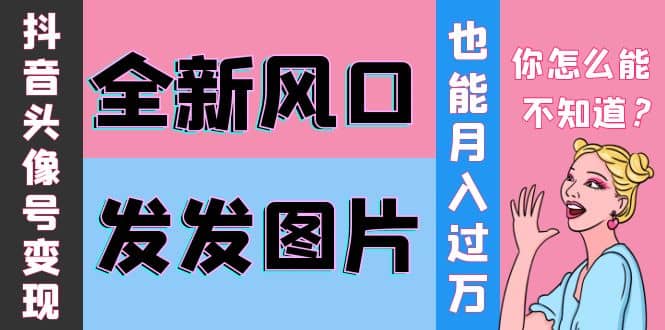 抖音头像号变现0基础教程-巴叔叔资源网