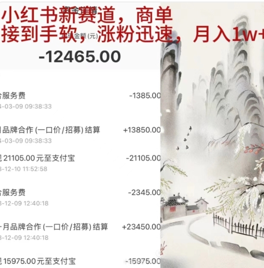 小红书新赛道，商单接到手软，涨粉迅速，一个月1w+-巴叔叔资源网