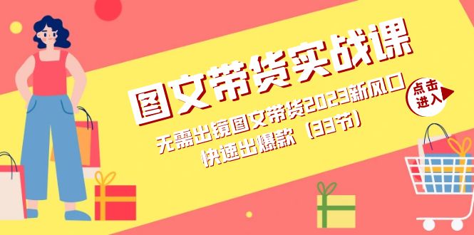 图文带货实战课：无需出镜图文带货2023新风口，快速出爆款（33节）-巴叔叔资源网