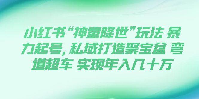 小红书“神童降世”玩法 暴力起号,私域打造聚宝盆 弯道超车 实现年入几十万-巴叔叔资源网