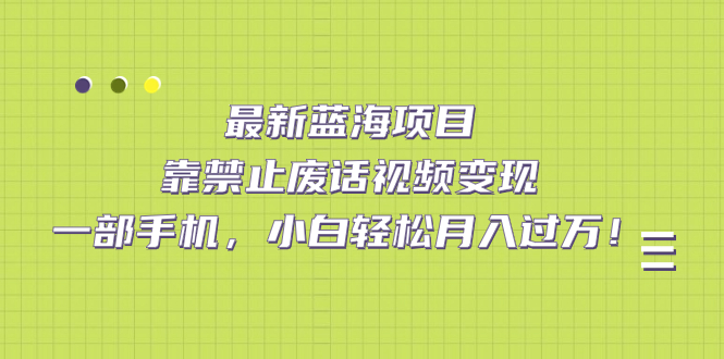 最新蓝海项目，靠禁止废话视频变现，一部手机，小白轻松月入过万！-巴叔叔资源网