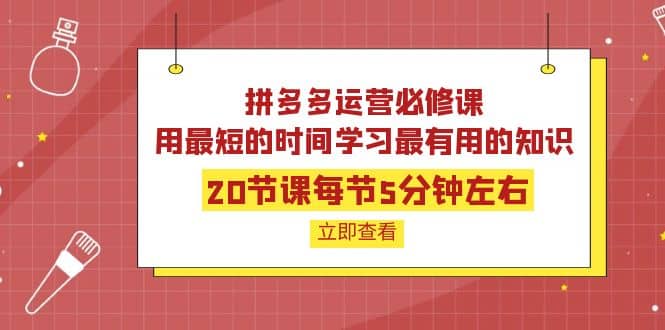 拼多多运营必修课：20节课每节5分钟左右，用最短的时间学习最有用的知识-巴叔叔资源网