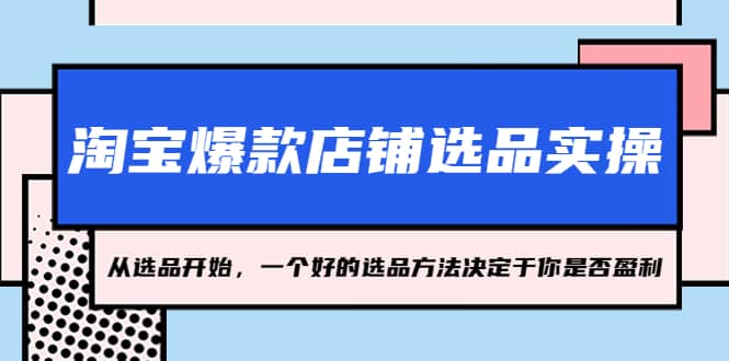淘宝爆款店铺选品实操，2023从选品开始，一个好的选品方法决定于你是否盈利-巴叔叔资源网