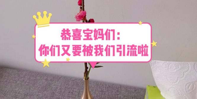 恭喜宝妈们：你们又要被我们引流了（教程+222g资料）-巴叔叔资源网