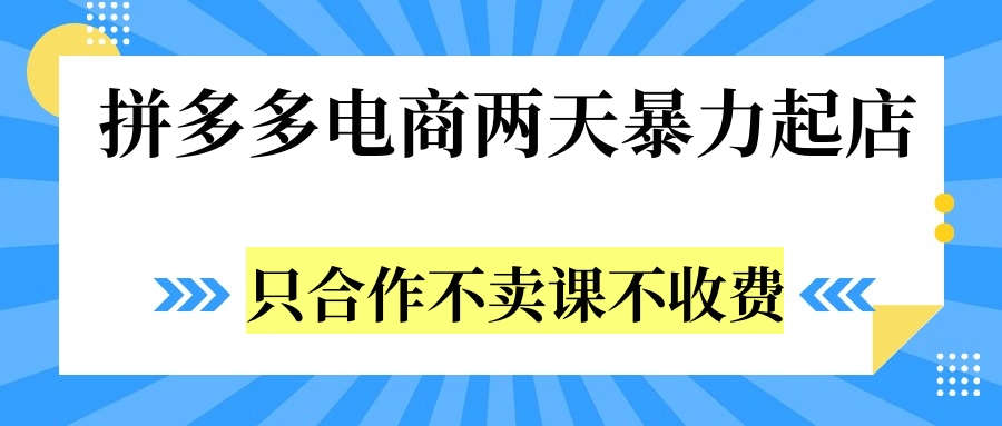 拼多多两天暴力起店，只合作不卖课不收费-巴叔叔资源网