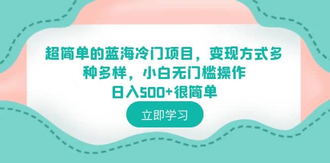 超简单的蓝海冷门项目，变现方式多种多样，小白无门槛操作日入500+很简单-巴叔叔资源网