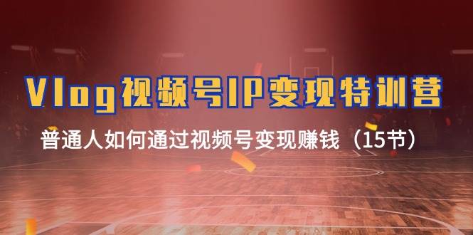 Vlog 视频号IP变现特训营，普通人如何通过视频号变现赚钱（15节）-巴叔叔资源网