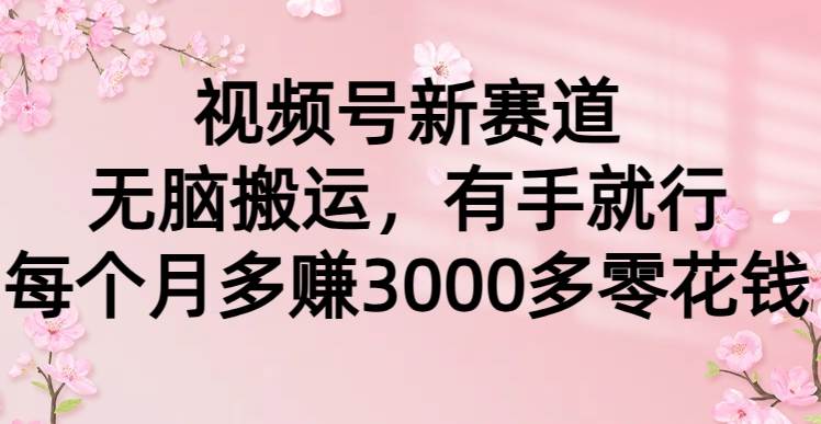 视频号新赛道，无脑搬运，有手就行，每个月多赚3000多零花钱-巴叔叔资源网