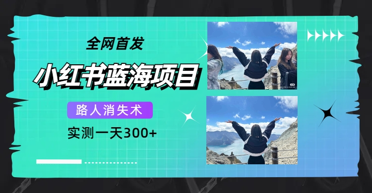 全网首发，小红书蓝海项目，路人消失术，实测一天300+（教程+工具）-巴叔叔资源网