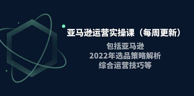 亚马逊运营实操课（每周更新）包括亚马逊2022选品策略解析，综合运营技巧等-巴叔叔资源网