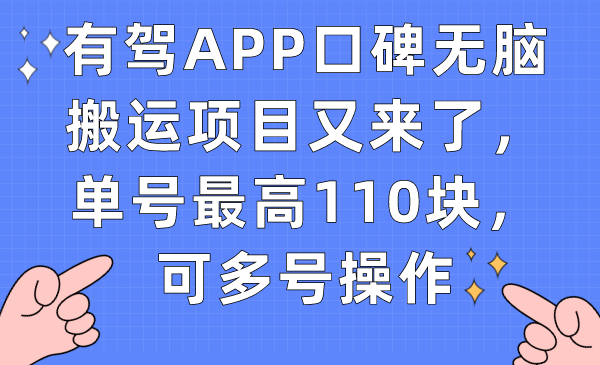 有驾APP口碑无脑搬运项目又来了，单号最高110块，可多号操作-巴叔叔资源网