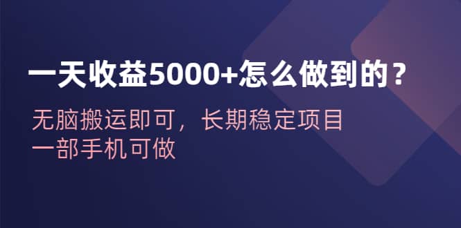 一天收益5000+怎么做到的？无脑搬运即可，长期稳定项目，一部手机可做-巴叔叔资源网