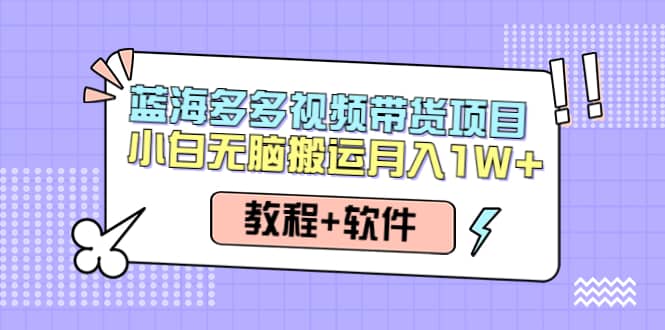 人人都能操作的蓝海多多视频带货项目 小白无脑搬运（教程+软件）-巴叔叔资源网