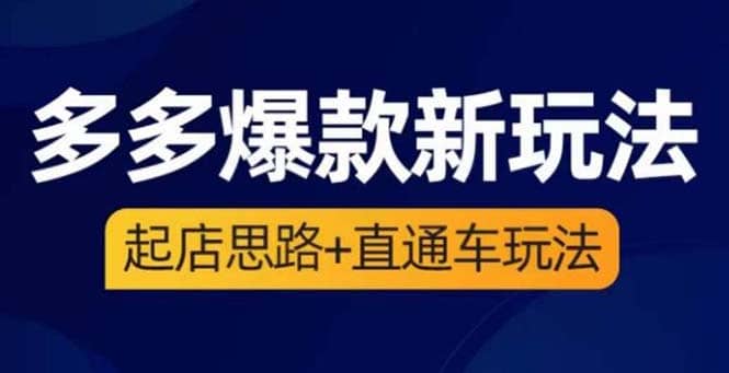 2023拼多多爆款·新玩法：起店思路+直通车玩法（3节精华课）-巴叔叔资源网