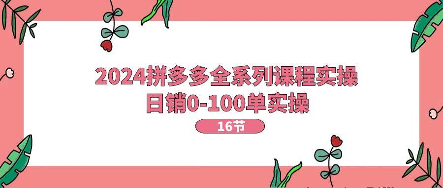 2024拼多多全系列课程实操，日销0-100单实操【16节课】-巴叔叔资源网