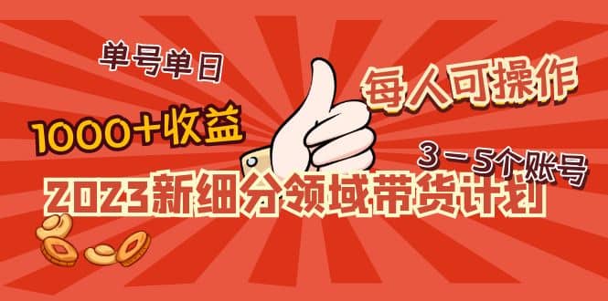 2023新细分领域带货计划：单号单日1000+收益不难，每人可操作3-5个账号-巴叔叔资源网