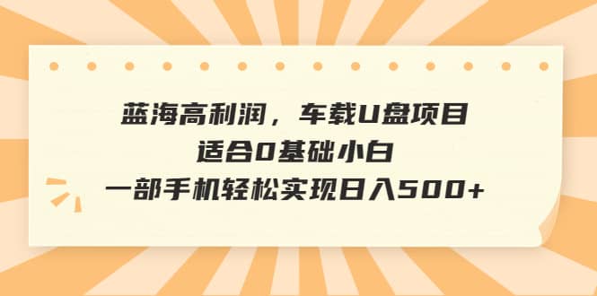 蓝海高利润，车载U盘项目，适合0基础小白，一部手机轻松实现日入500+-巴叔叔资源网