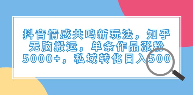 抖音情感共鸣新玩法，知乎无脑搬运，单条作品涨粉5000+，私域转化日入500-巴叔叔资源网