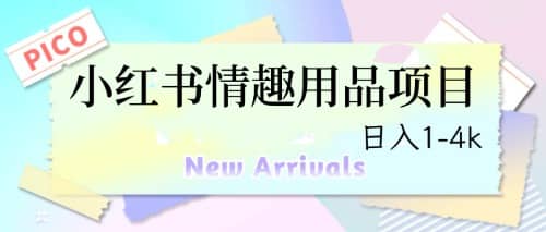最新小红书情趣用品项目，日入1-4k-巴叔叔资源网