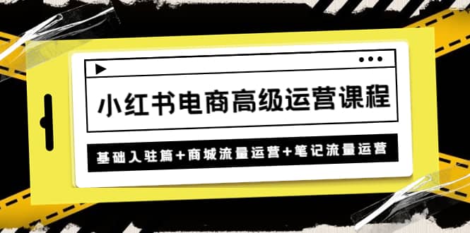 小红书电商高级运营课程：基础入驻篇+商城流量运营+笔记流量运营-巴叔叔资源网