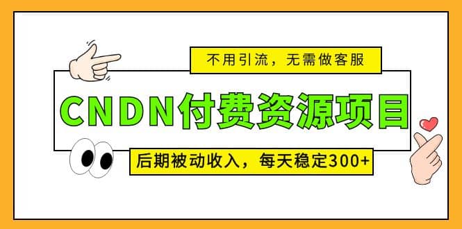 CNDN付费资源项目，不用引流，无需做客服，后期被动收入-巴叔叔资源网