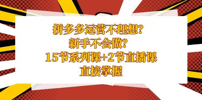 拼多多运营不理想？新手不会做？15节系列课+2节直播课，直接掌握-巴叔叔资源网
